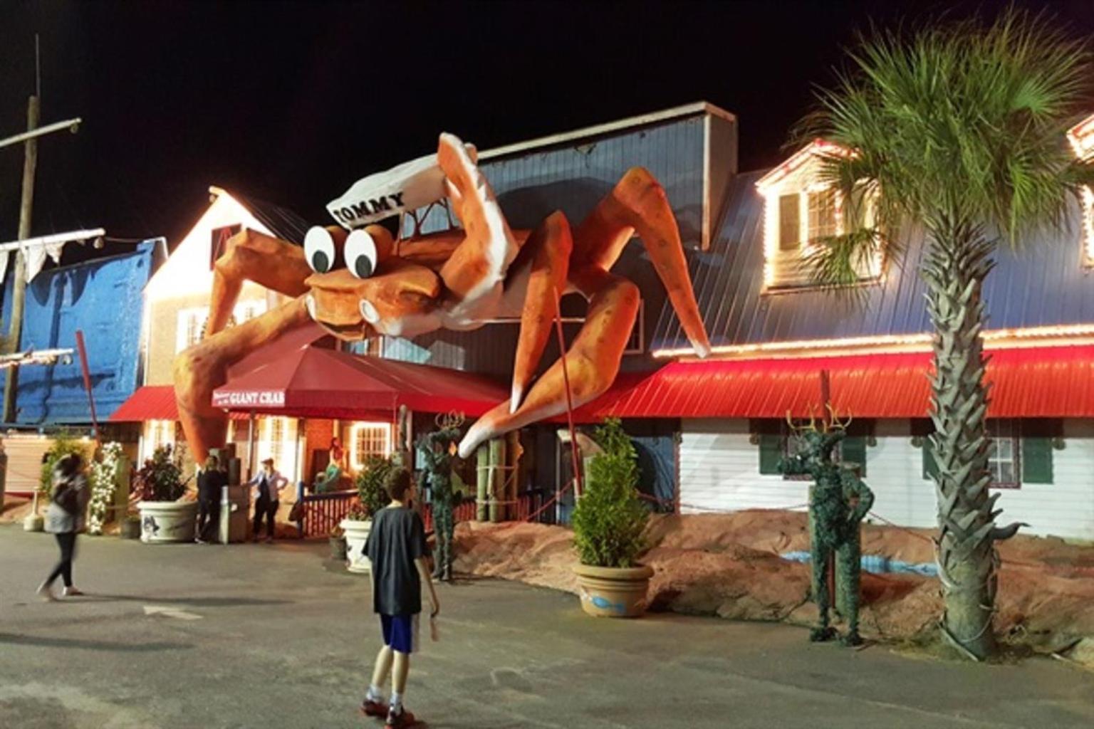 Ocean Annie'S Oceanview Studio,Scenic Views,Pools! Myrtle Beach Eksteriør billede